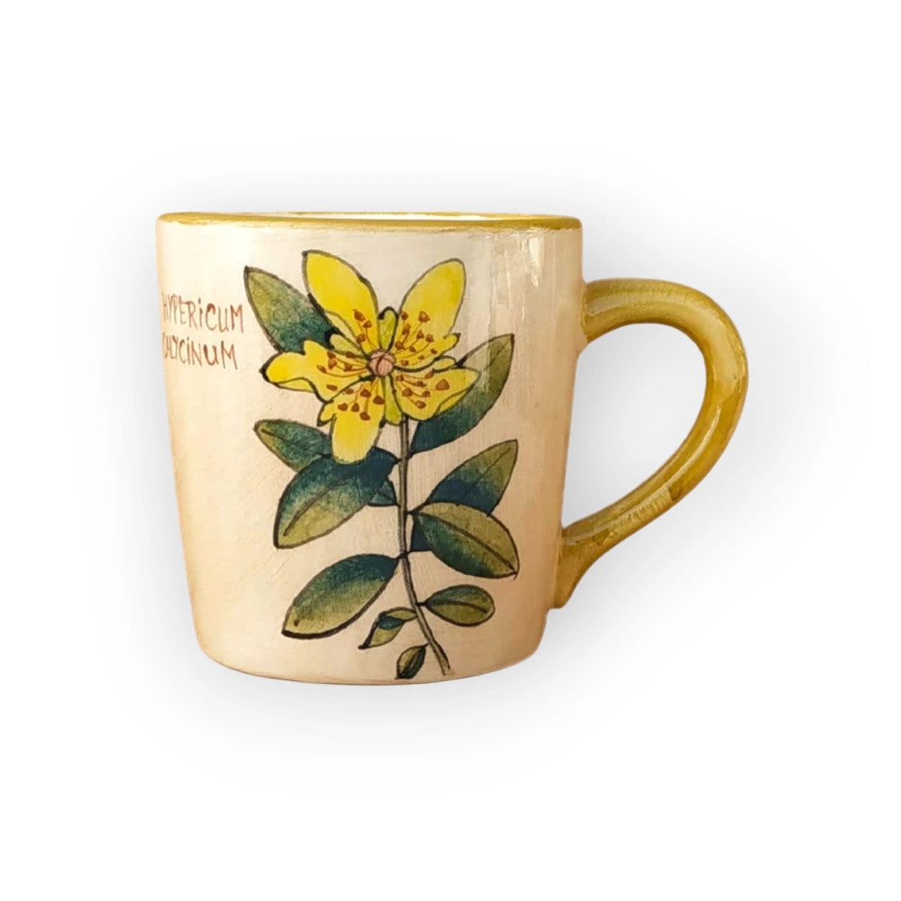 st-johns-wort-mug-hypericum-calycinum