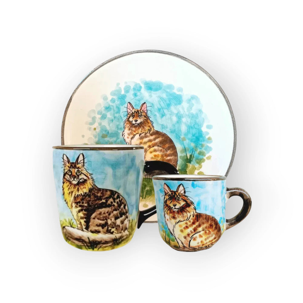 maine-coon-kitten-set