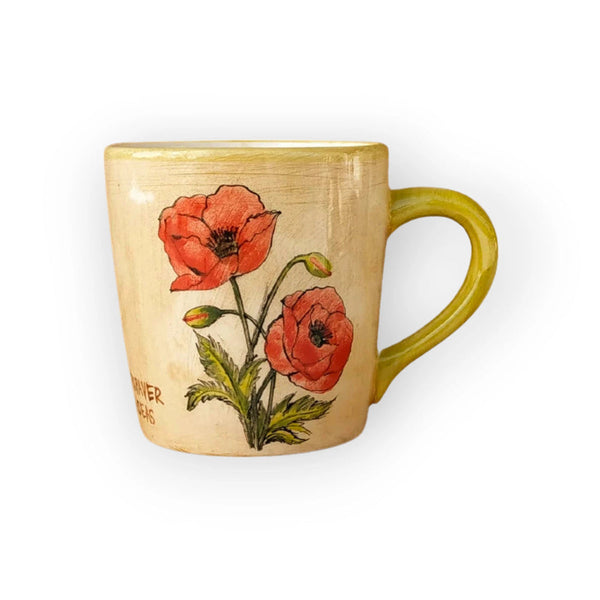 Pipacs Bögre (Papaver Rhoeas) – Botanica sorozat
