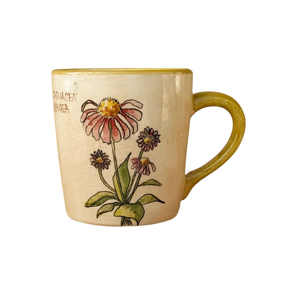 Bíbor Kasvirág Bögre (Echinacea) – Botanica sorozat