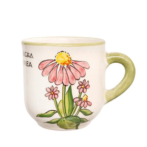 Bíbor Kasvirág Bögre (Echinacea) – Botanica sorozat