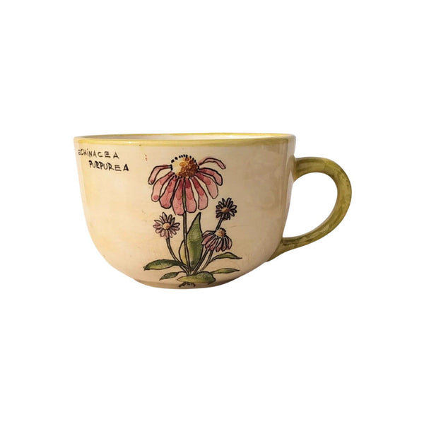 Bíbor Kasvirág Bögre (Echinacea) – Botanica sorozat