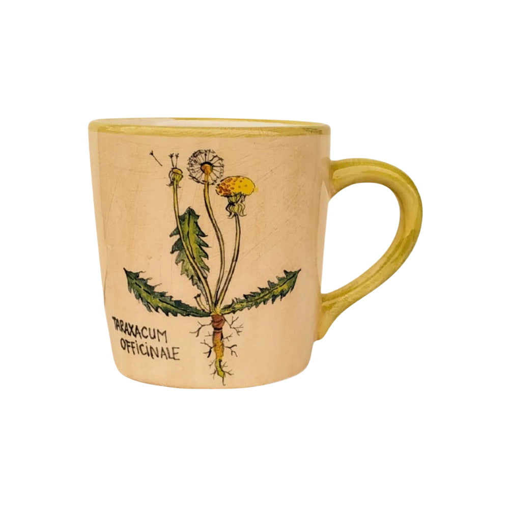 Gyermekláncfű bögre Taraxacum Officinale