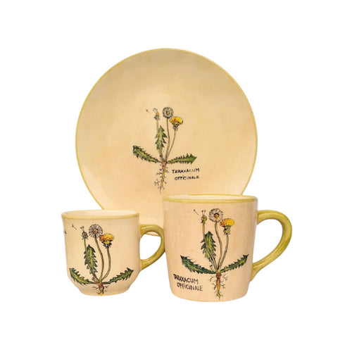 Gyermekláncfű Bögre (Taraxacum) – Botanica sorozat