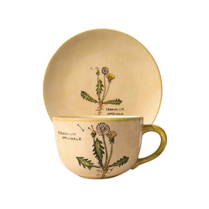 Gyermekláncfű Bögre (Taraxacum) – Botanica sorozat