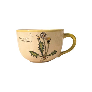 Gyermekláncfű Bögre (Taraxacum) – Botanica sorozat