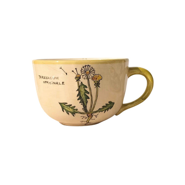 Gyermekláncfű Bögre (Taraxacum) – Botanica sorozat