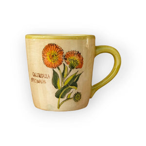 Orvosi Körömvirág Bögre (Calendula) – Botanica sorozat