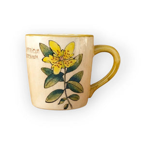 st-johns-wort-mug-hypericum-calycinum