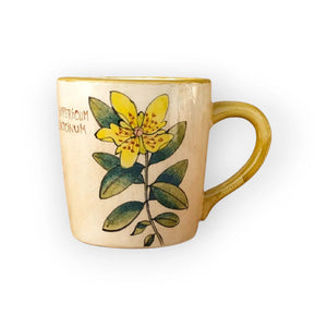 Orbáncfű Bögre (Hypericum) – Botanica sorozat
