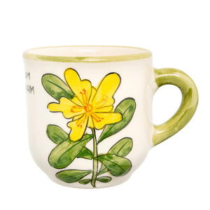 Orbáncfű Bögre (Hypericum) – Botanica sorozat
