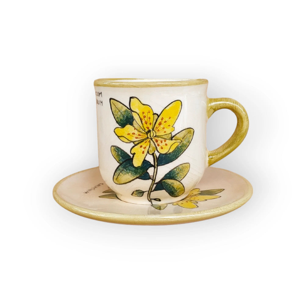 st-johns-wort-coffee-mug-and-saucer-hypericum-calycinum