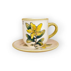 st-johns-wort-coffee-mug-and-saucer-hypericum-calycinum