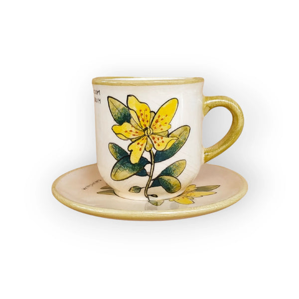 st-johns-wort-coffee-mug-and-saucer-hypericum-calycinum