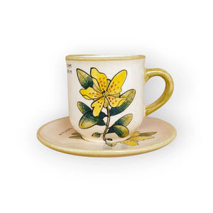 Orbáncfű Bögre (Hypericum) – Botanica sorozat