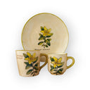 Orbáncfű Bögre (Hypericum) – Botanica sorozat
