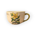 Orbáncfű Bögre (Hypericum) – Botanica sorozat