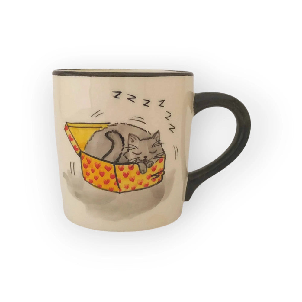 funny-cat-mug-in-box