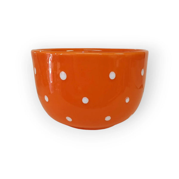 muesli-bowl-with-orange
