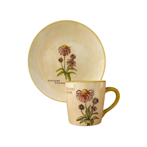 Bíbor Kasvirág Bögre (Echinacea) – Botanica sorozat