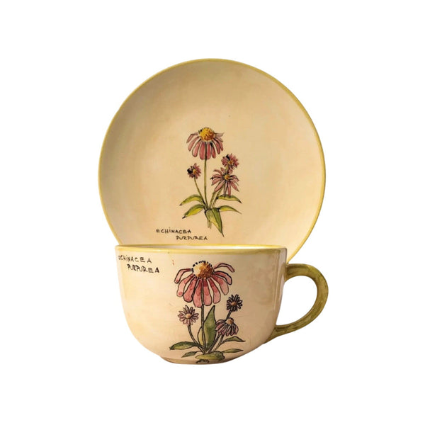 Bíbor Kasvirág Bögre (Echinacea) – Botanica sorozat