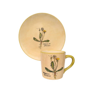 Gyermekláncfű Bögre (Taraxacum) – Botanica sorozat