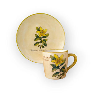 Orbáncfű Bögre (Hypericum) – Botanica sorozat