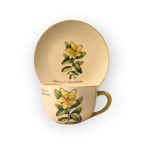 Orbáncfű Bögre (Hypericum) – Botanica sorozat