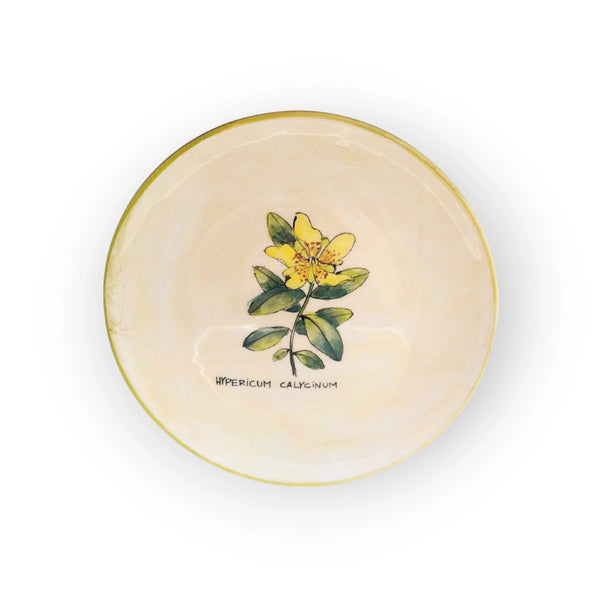 -breakfast-plate-st-johns-wort