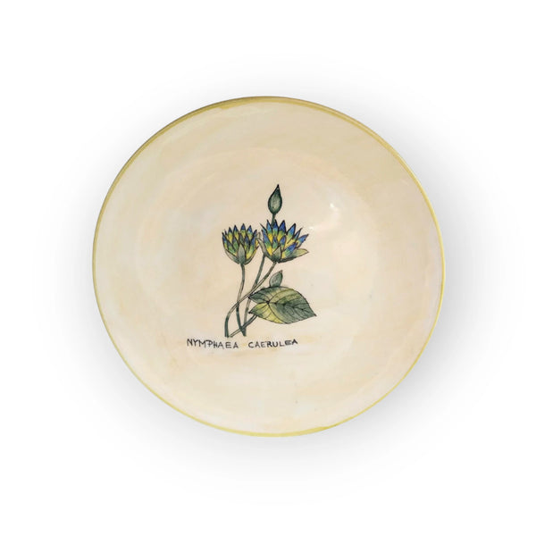 -breakfast-plate-fairy-rose