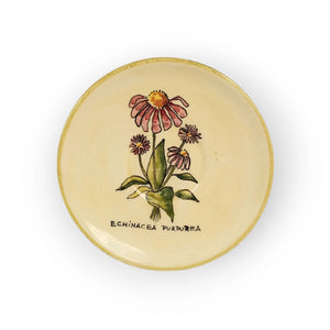 -coffee-saucer-purple-aster