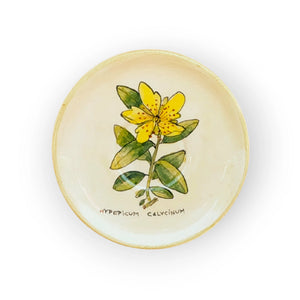 coffee-saucer-st-johns-wort