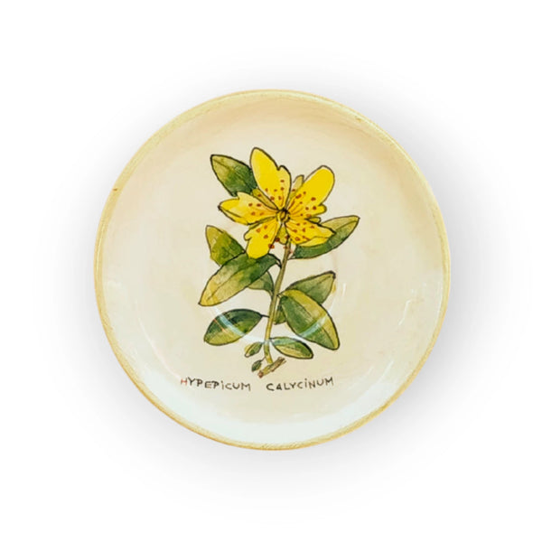coffee-saucer-st-johns-wort