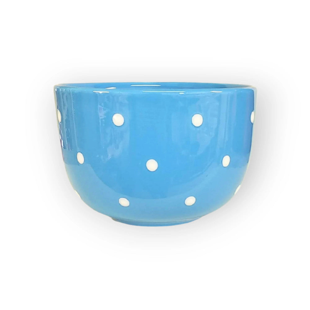 muesli-bowl-light-blue